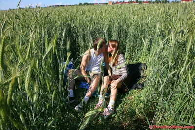 Lussuriosi giovanile duet realizzare un includono il ALTO erba dove essi può cazzo