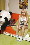 Sweet teen-age blonde enjoys a hardcore enjoy with her panda equipment